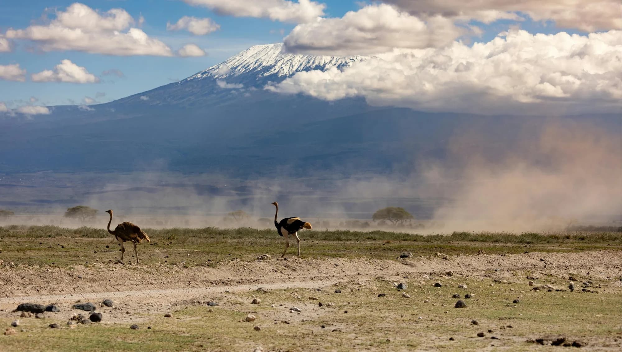 Rongai Route — 6 Days