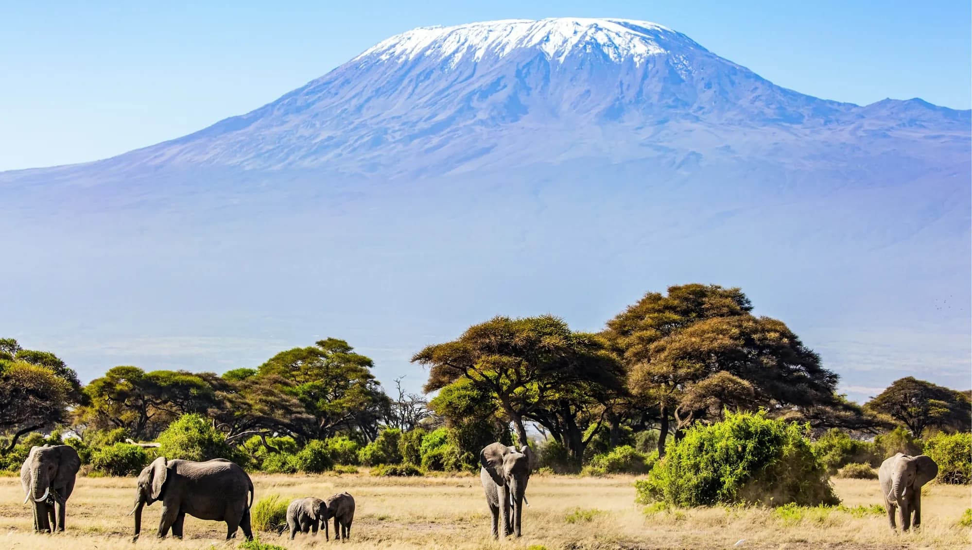 Lemosho Route — 7 Days
